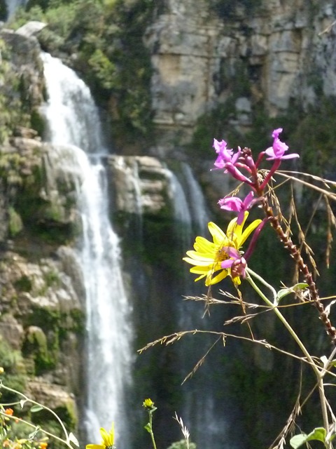 Catarata de Vizcamayo